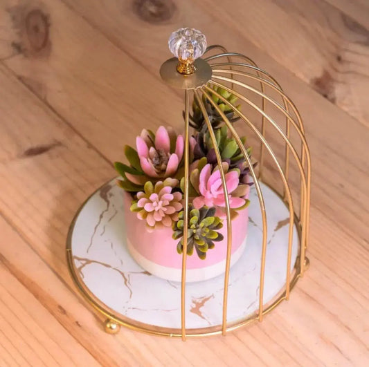 Luxury design Single Tier Organizer storage cage - Designs Decore