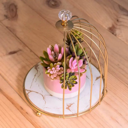 Luxury design Single Tier Organizer storage cage - Designs Decore